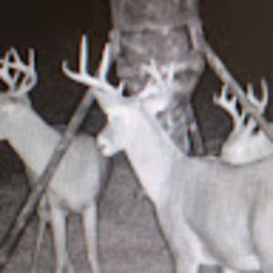 Meet your Posher, Steven